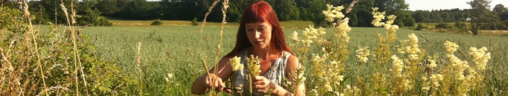 cropped-IMG_2001-2.jpg